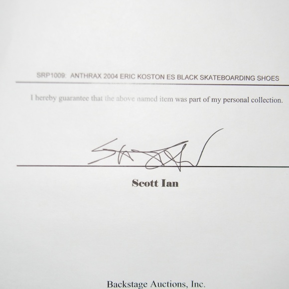 2004 eS K6 x Anthrax Prototype Shoe - Pair #5 - Picture 6 of 8